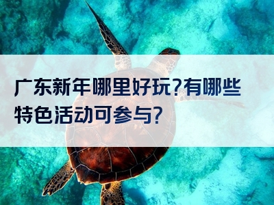 广东新年哪里好玩？有哪些特色活动可参与？