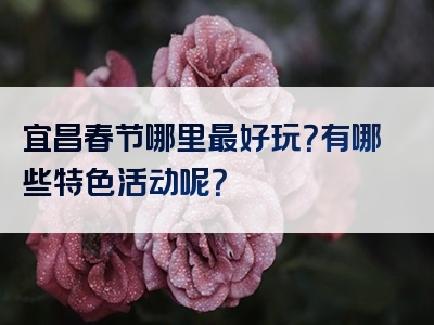 宜昌春节哪里最好玩？有哪些特色活动呢？