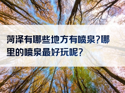 菏泽有哪些地方有喷泉？哪里的喷泉最好玩呢？