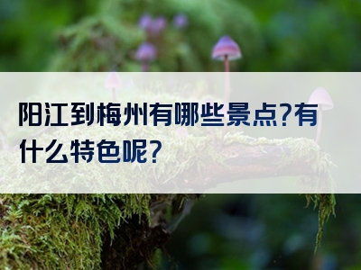 阳江到梅州有哪些景点？有什么特色呢？
