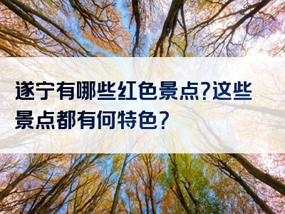 遂宁有哪些红色景点？这些景点都有何特色？