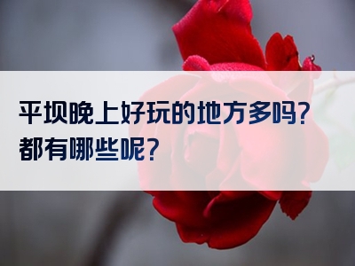 平坝晚上好玩的地方多吗？都有哪些呢？