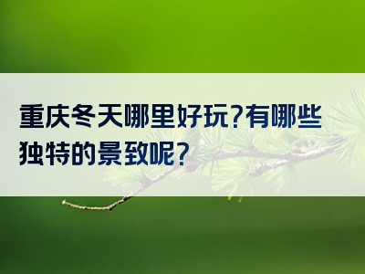 重庆冬天哪里好玩？有哪些独特的景致呢？
