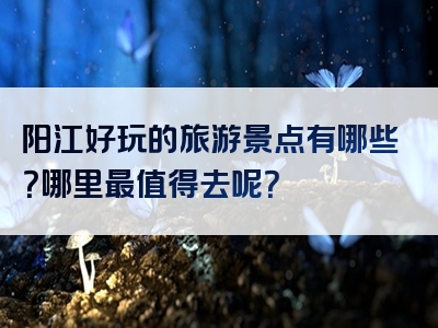 阳江好玩的旅游景点有哪些？哪里最值得去呢？