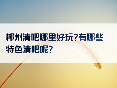 郴州清吧哪里好玩？有哪些特色清吧呢？