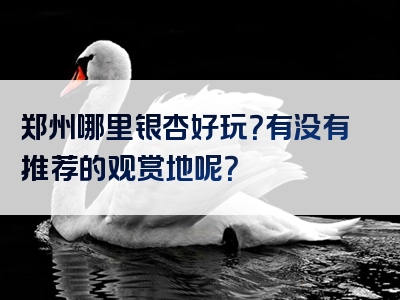 郑州哪里银杏好玩？有没有推荐的观赏地呢？
