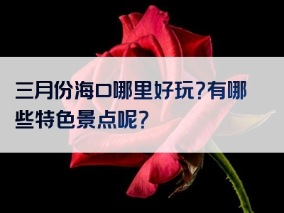 三月份海口哪里好玩？有哪些特色景点呢？