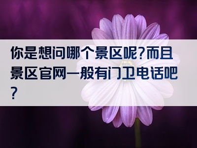 你是想问哪个景区呢？而且景区官网一般有门卫电话吧？