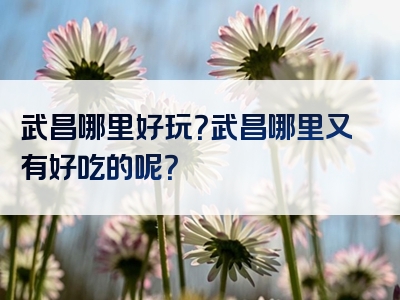 武昌哪里好玩？武昌哪里又有好吃的呢？