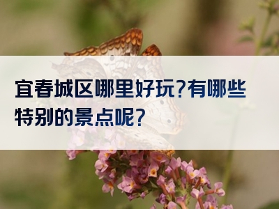 宜春城区哪里好玩？有哪些特别的景点呢？