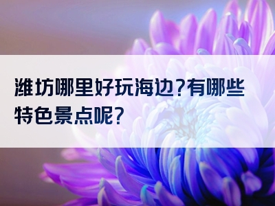 潍坊哪里好玩海边？有哪些特色景点呢？