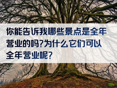 你能告诉我哪些景点是全年营业的吗？为什么它们可以全年营业呢？