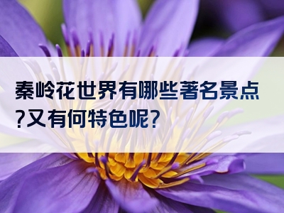 秦岭花世界有哪些著名景点？又有何特色呢？