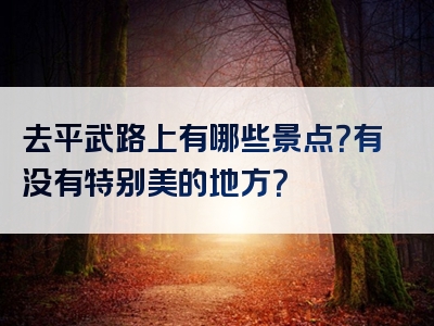 去平武路上有哪些景点？有没有特别美的地方？
