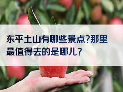 东平土山有哪些景点？那里最值得去的是哪儿？