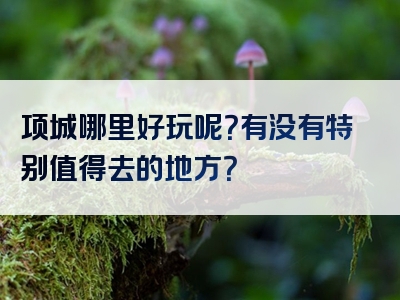 项城哪里好玩呢？有没有特别值得去的地方？