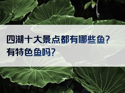 四湖十大景点都有哪些鱼？有特色鱼吗？