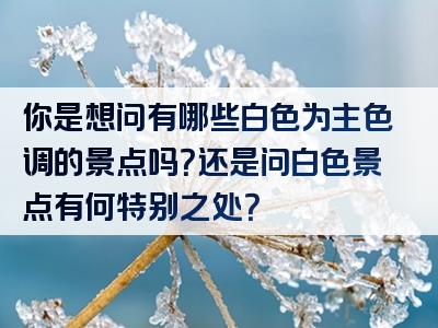 你是想问有哪些白色为主色调的景点吗？还是问白色景点有何特别之处？