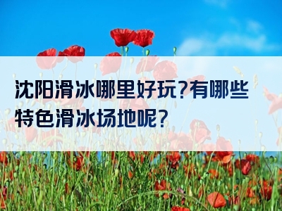 沈阳滑冰哪里好玩？有哪些特色滑冰场地呢？