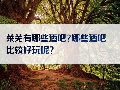 莱芜有哪些酒吧？哪些酒吧比较好玩呢？
