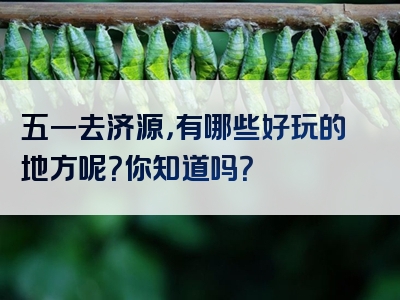 五一去济源，有哪些好玩的地方呢？你知道吗？