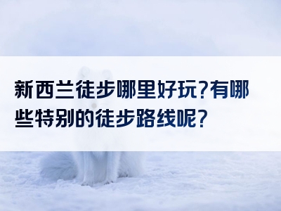 新西兰徒步哪里好玩？有哪些特别的徒步路线呢？