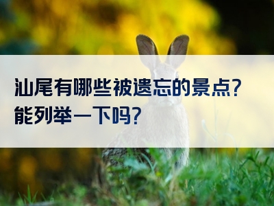 汕尾有哪些被遗忘的景点？能列举一下吗？