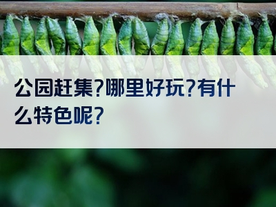 公园赶集？哪里好玩？有什么特色呢？
