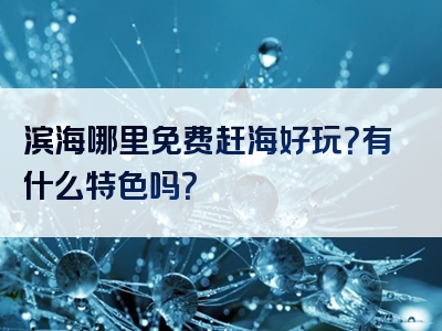 滨海哪里免费赶海好玩？有什么特色吗？