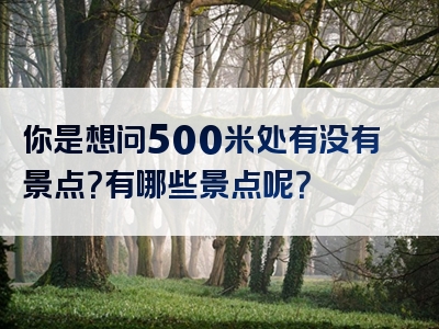 你是想问500米处有没有景点？有哪些景点呢？