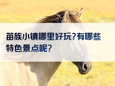 苗族小镇哪里好玩？有哪些特色景点呢？