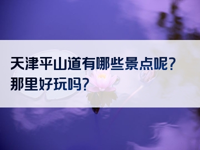 天津平山道有哪些景点呢？那里好玩吗？