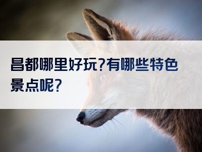 昌都哪里好玩？有哪些特色景点呢？