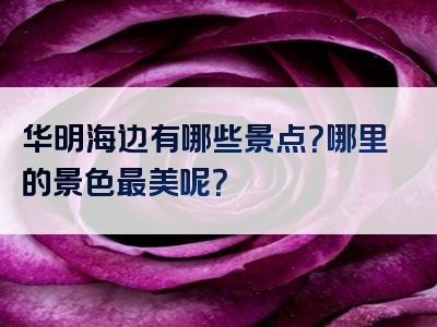 华明海边有哪些景点？哪里的景色最美呢？