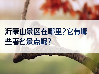 沂蒙山景区在哪里？它有哪些著名景点呢？