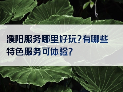 濮阳服务哪里好玩？有哪些特色服务可体验？