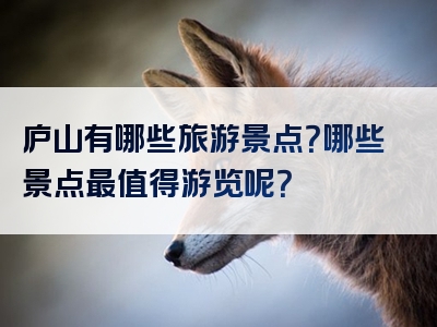 庐山有哪些旅游景点？哪些景点最值得游览呢？