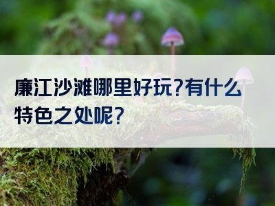 廉江沙滩哪里好玩？有什么特色之处呢？