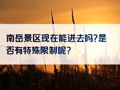 南岳景区现在能进去吗？是否有特殊限制呢？