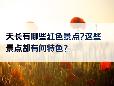 天长有哪些红色景点？这些景点都有何特色？