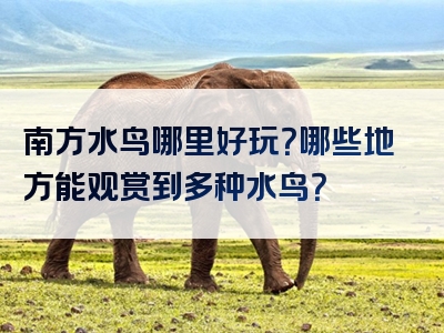 南方水鸟哪里好玩？哪些地方能观赏到多种水鸟？