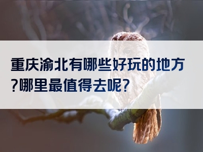 重庆渝北有哪些好玩的地方？哪里最值得去呢？
