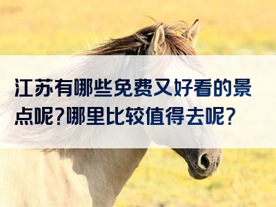 江苏有哪些免费又好看的景点呢？哪里比较值得去呢？