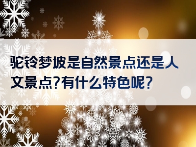 驼铃梦坡是自然景点还是人文景点？有什么特色呢？