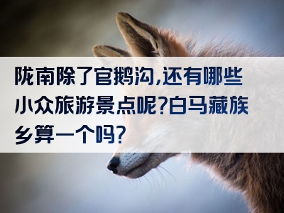 陇南除了官鹅沟，还有哪些小众旅游景点呢？白马藏族乡算一个吗？
