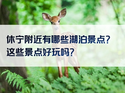 休宁附近有哪些湖泊景点？这些景点好玩吗？