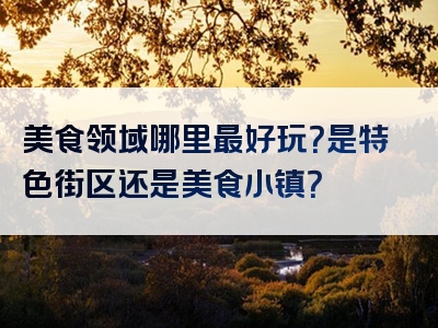 美食领域哪里最好玩？是特色街区还是美食小镇？
