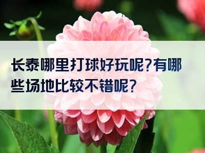 长泰哪里打球好玩呢？有哪些场地比较不错呢？