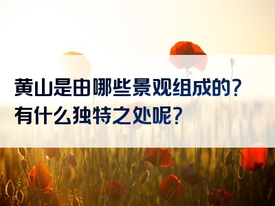 黄山是由哪些景观组成的？有什么独特之处呢？