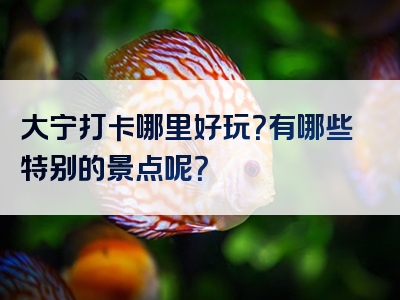大宁打卡哪里好玩？有哪些特别的景点呢？